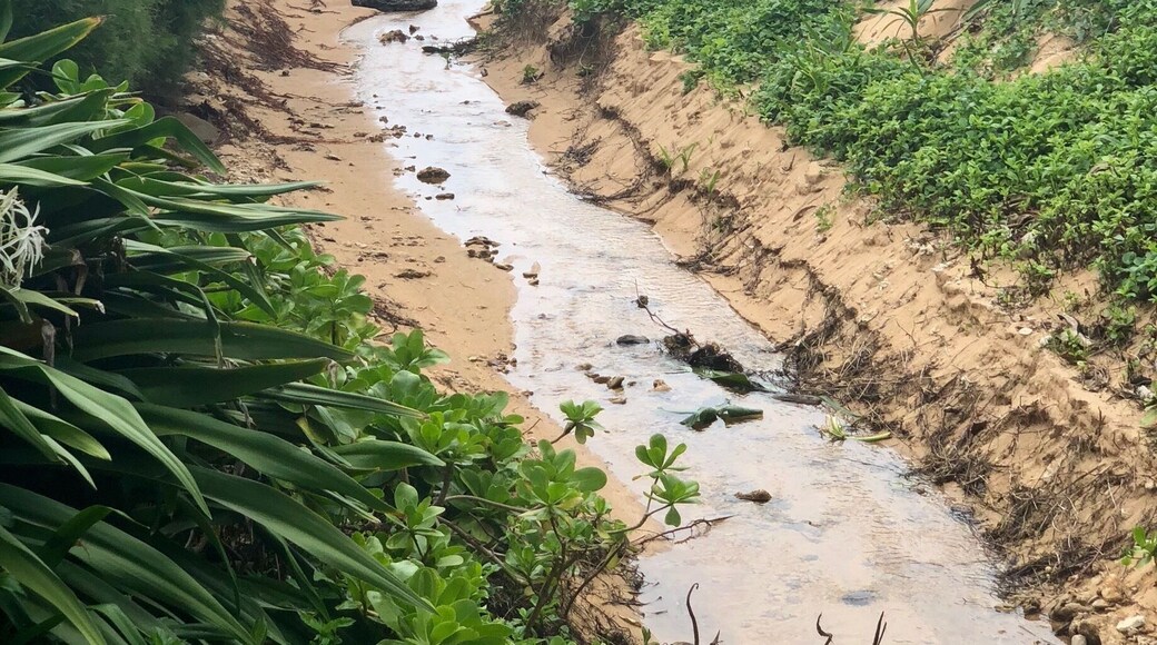 Hanalei Colony Resort
Spring Break, Kauai 2018