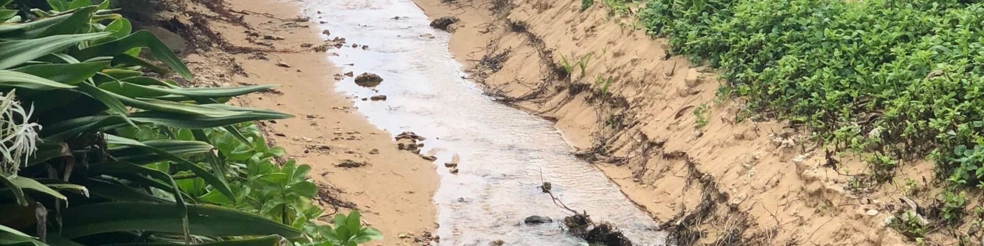 Hanalei Colony Resort
Spring Break, Kauai 2018