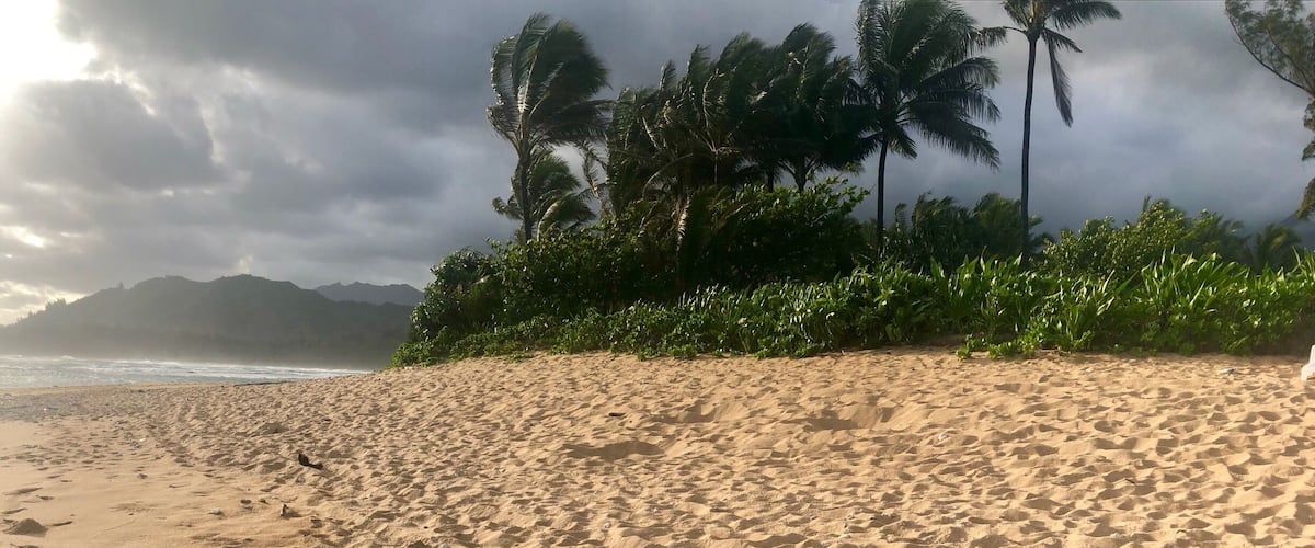 Hanalei Colony Resort 
Spring Break, Kauai 2018