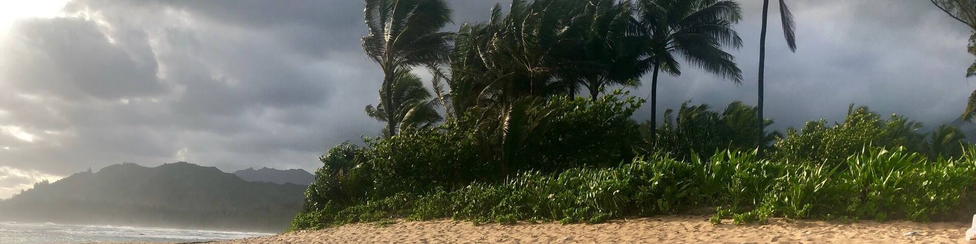 Hanalei Colony Resort
Spring Break, Kauai 2018