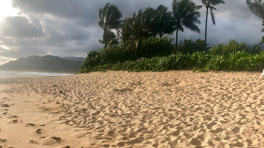 Hanalei Colony Resort
Spring Break, Kauai 2018