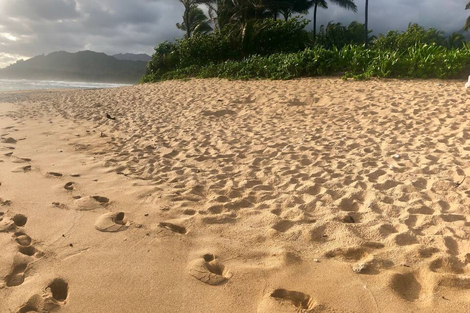 Een zanderig strand met voetafdrukken en palmbomen op de achtergrond.
