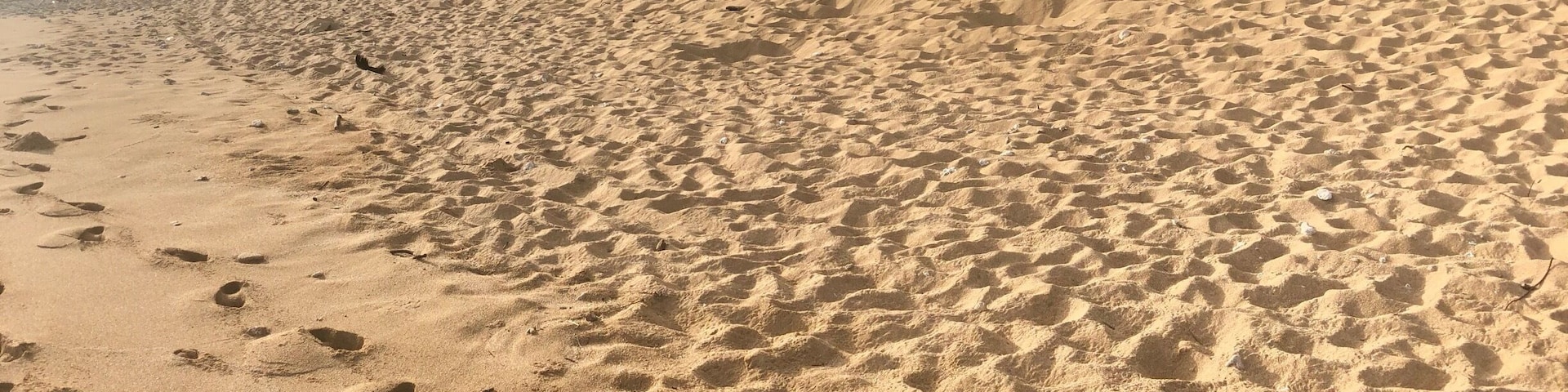 Hanalei Colony Resort 
Spring Break, Kauai 2018