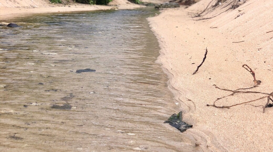 Hanalei Colony Resort
Spring Break, Kauai 2018