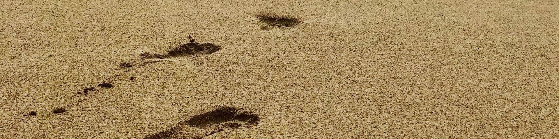 Powder soft sand
Clear water
Amazing views