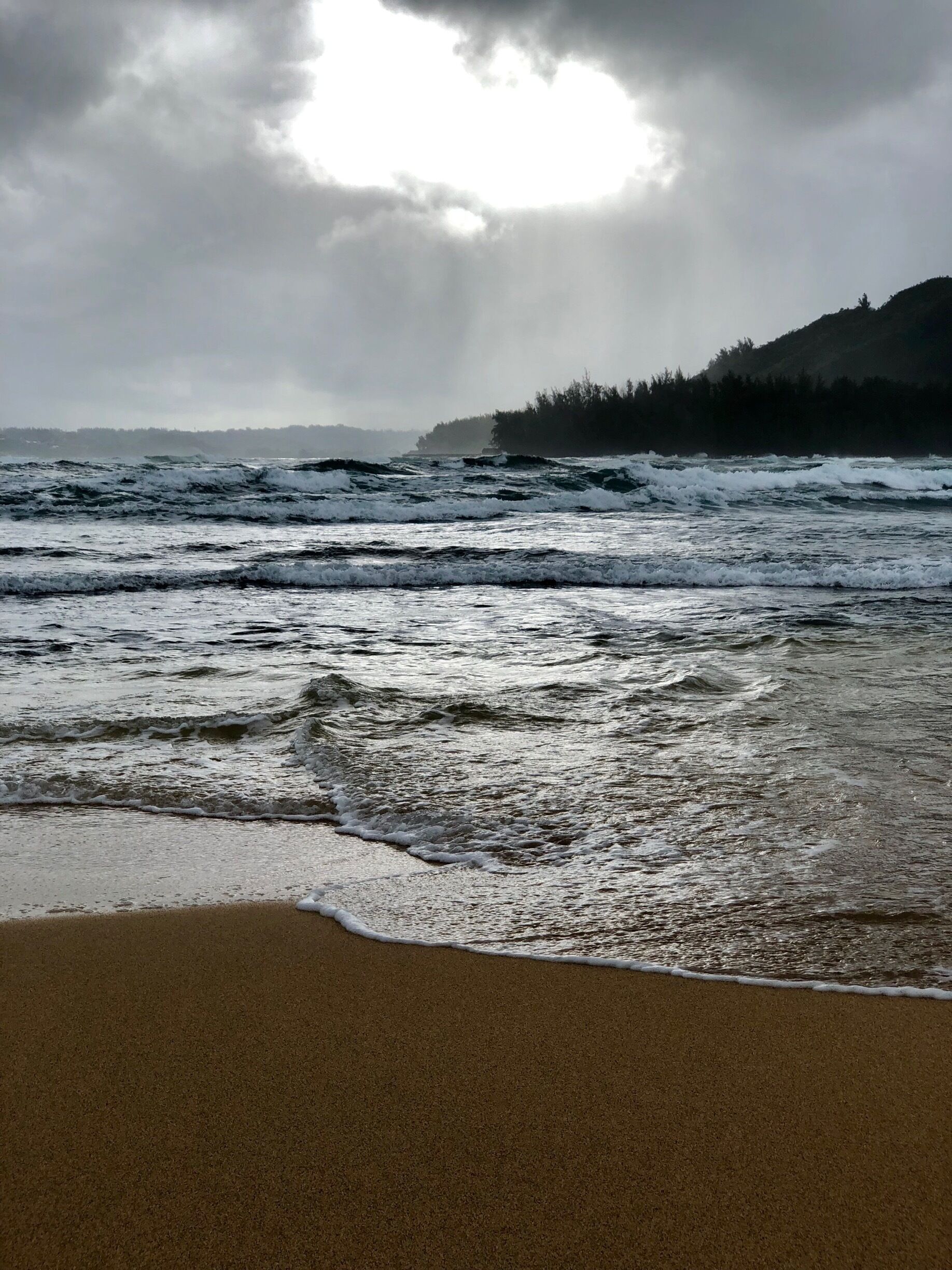 Hanalei Colony Resort
Spring Break, Kauai 2018