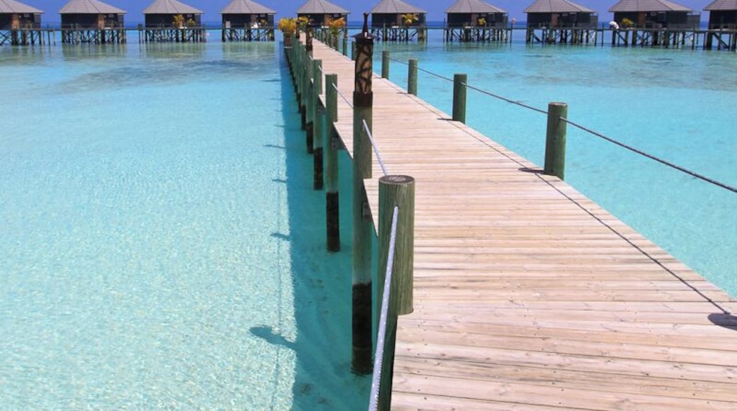 The watervillas on Komandoo Island Resort.
That's the tiny little island we lived and worked for two years. 15 Watervillas have been built over the water.
If you like to read, what we did on a day off on this little gem: http://www.swissnomads.com/2013/08/day-off-komandoo-island-resort-maldives/