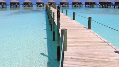 The watervillas on Komandoo Island Resort.
That's the tiny little island we lived and worked for two years. 15 Watervillas have been built over the water.
If you like to read, what we did on a day off on this little gem: http://www.swissnomads.com/2013/08/day-off-komandoo-island-resort-maldives/