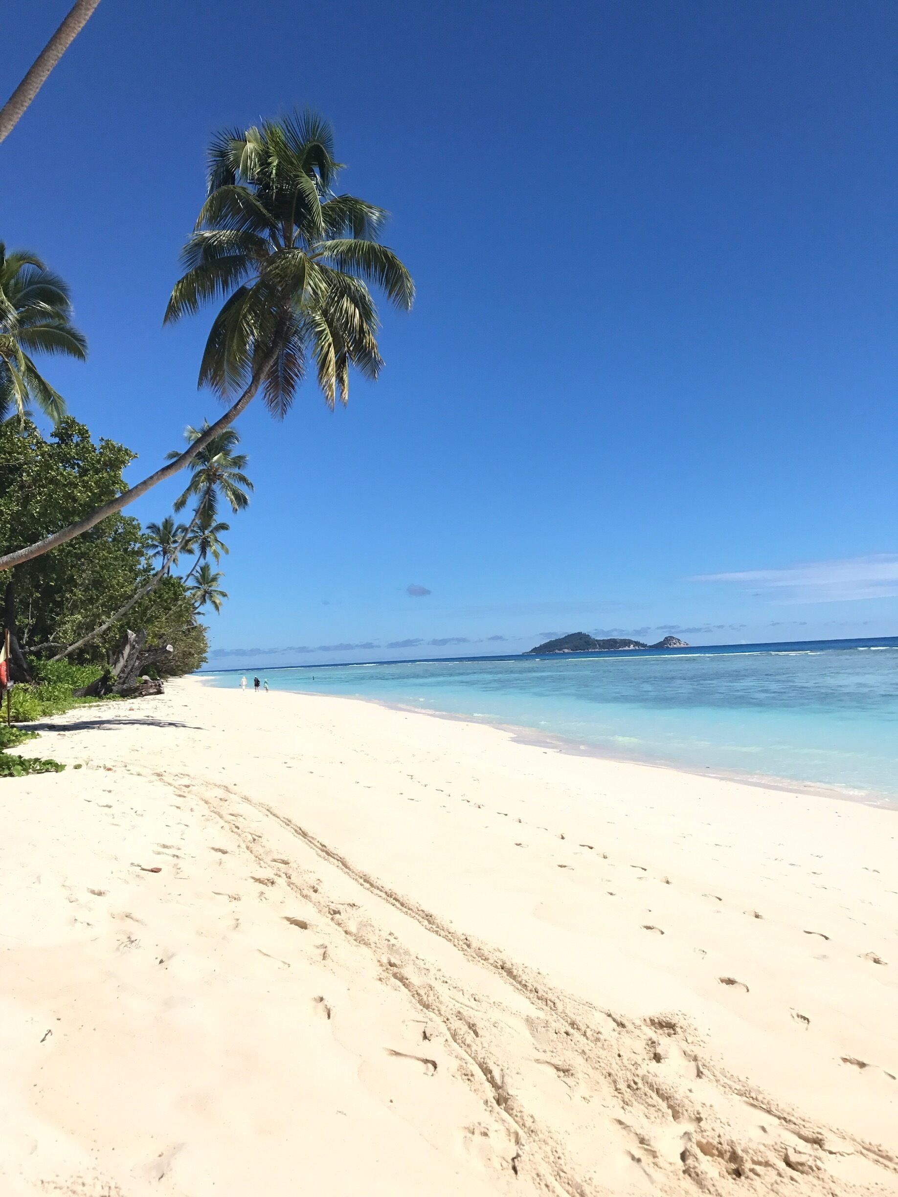 pristine white sand a beautiful blue sky and the torquoise water of seychelles ❤❤❤