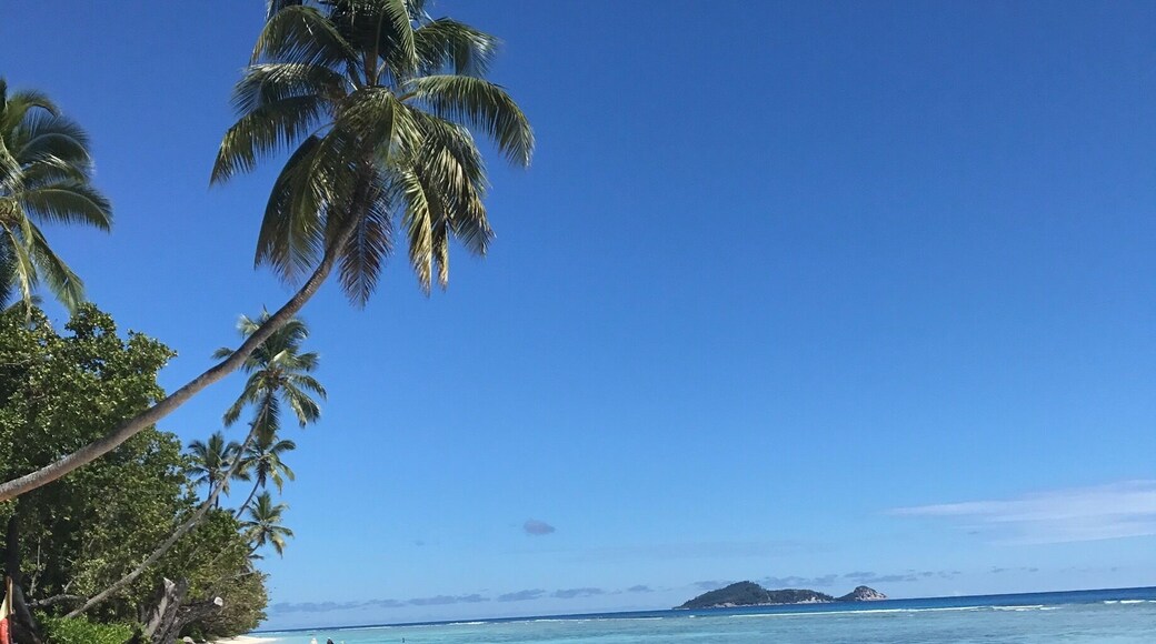 pristine white sand a beautiful blue sky and the torquoise water of seychelles ❤❤❤