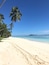 A beach with clear blue water, palm trees, and footprints in the sand.