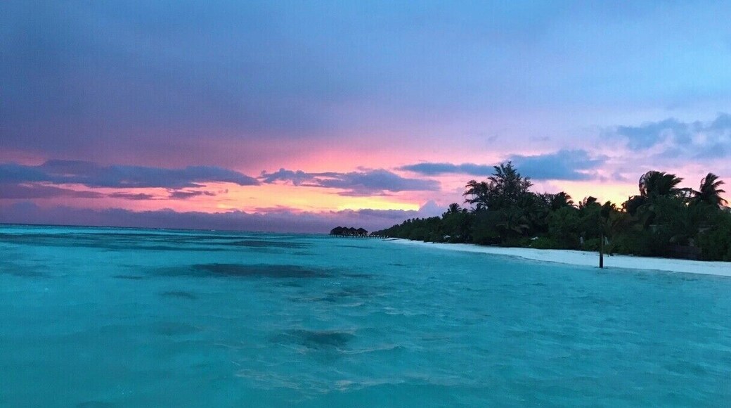 Magical view around the Beach #LUX* South Ari Atoll, Maldives
#LifeAtExpedia