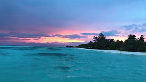 Magical view around the Beach #LUX* South Ari Atoll, Maldives
#LifeAtExpedia