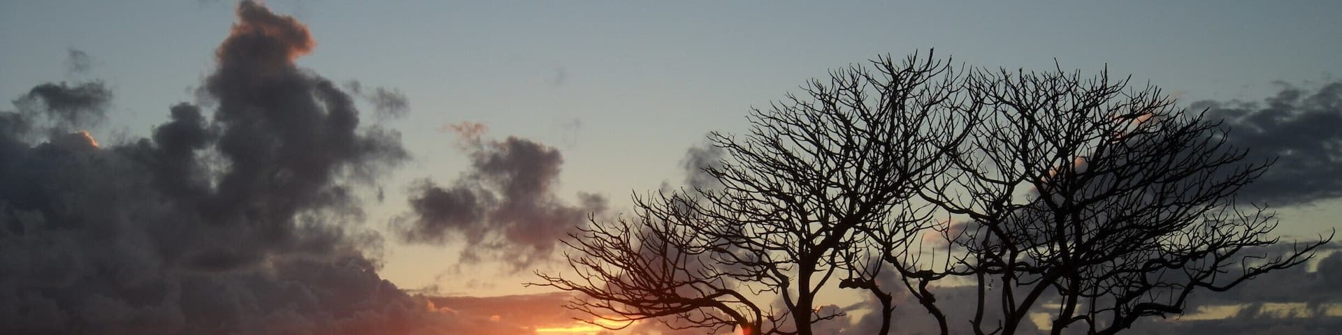 #Trovember Right on the beach. Lazy river on the property and beautiful landscaping
