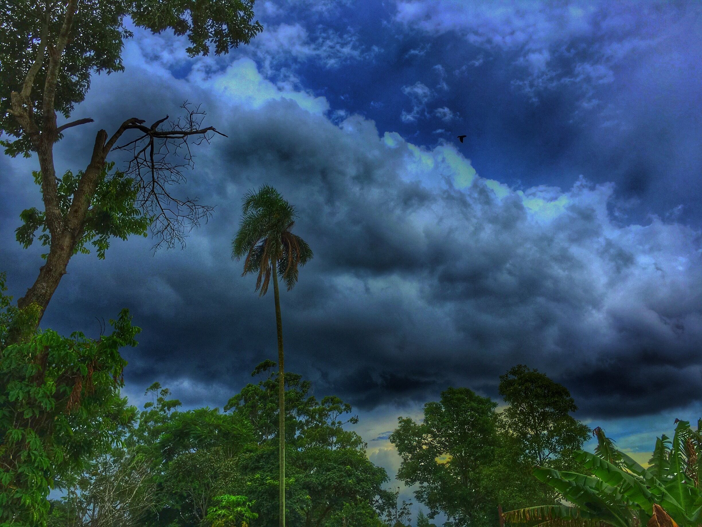 Desde los jardines del Hotel Carmen en Iguazu, Argentina