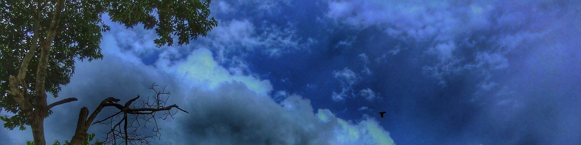 Desde los jardines del Hotel Carmen en Iguazu, Argentina