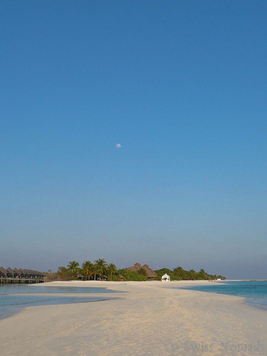 Kuredu Island Resort in the Maldives

The Kurdeu Island Resort in the Lhaviyani Atoll is one of the bigger islands of the Maldives.

We have lived and worked as scuba diving instructors for one year on this island in the middle of the Indian Ocean. The island is about 1600 x 500 meters and there are about 300 bungalows in diffenrent categories available.

There is a great house reef for scuba diving and snorkelling and many more activities in and around the water.