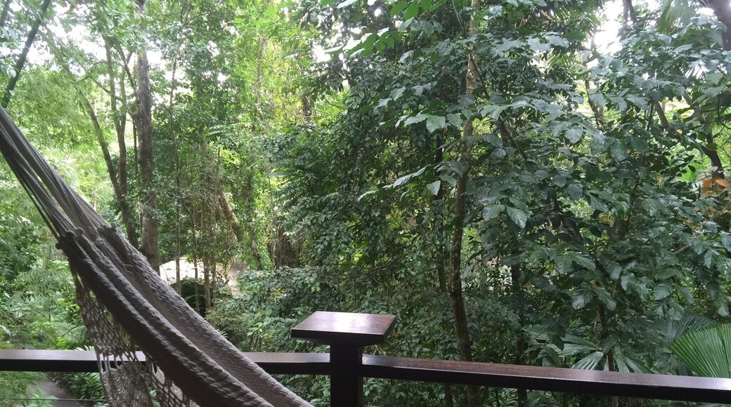 Roughing it in the jungle