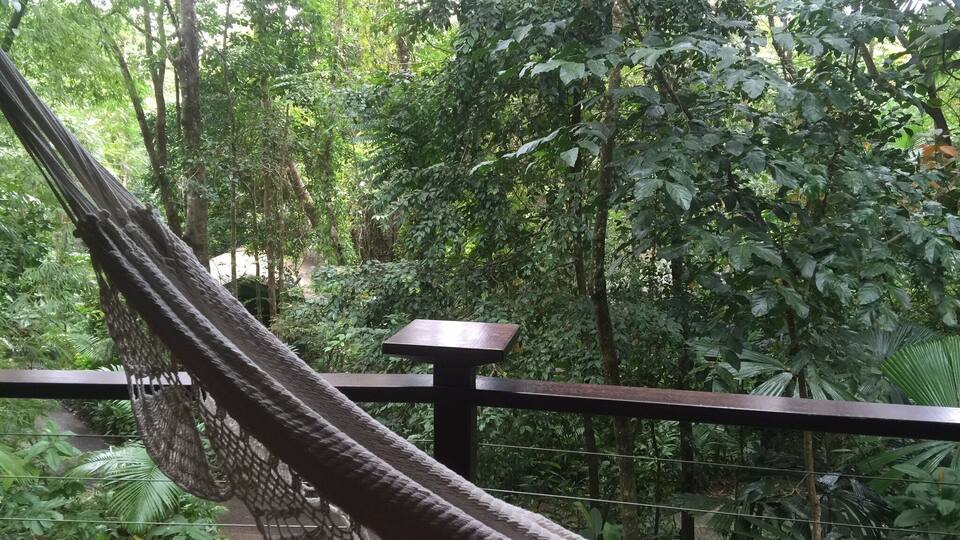 A hammock in a lush green forest with a wooden bench and a metal railing.