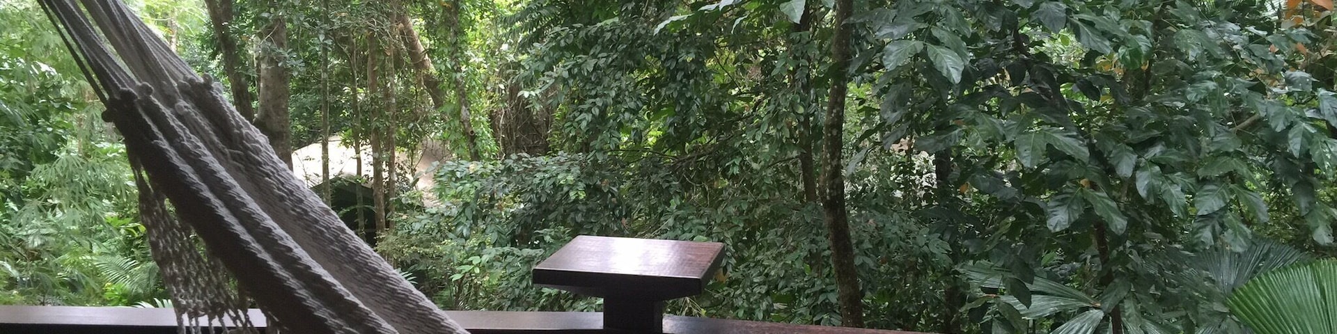 Roughing it in the jungle