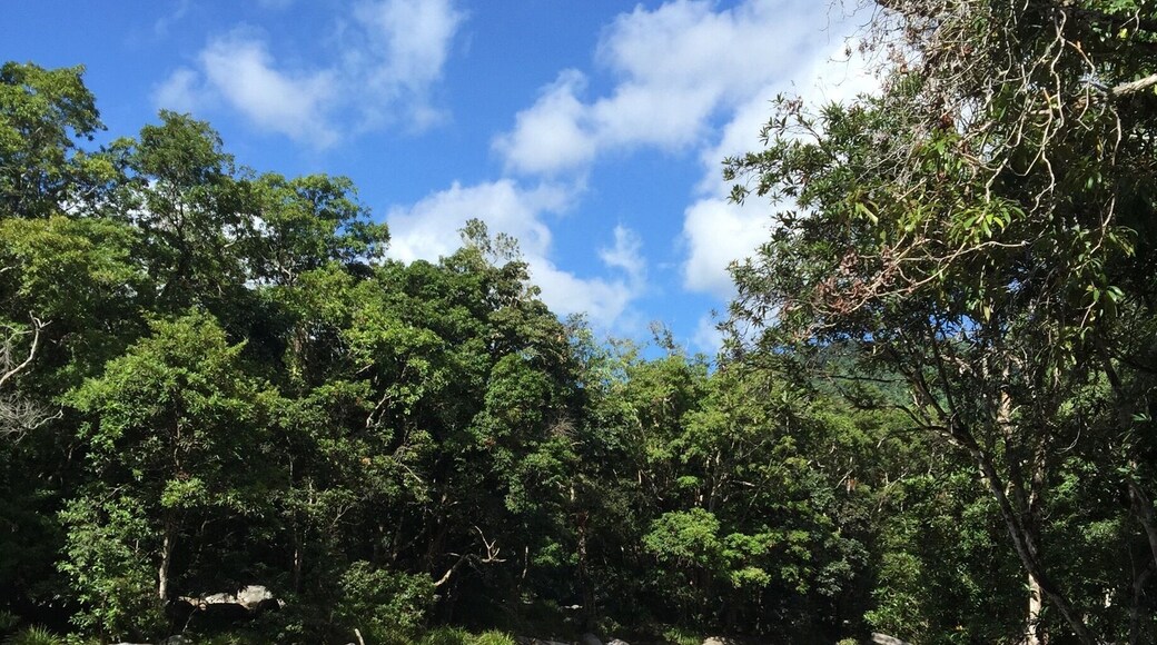 Day 3- still paradise