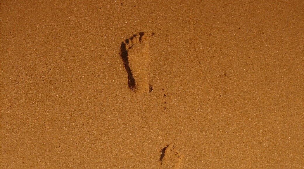 Beautiful clean beach that is so serene that you can see just your footprints on it. Cool blue waters that invite you for a perfect dip in the ocean. #BeachBound