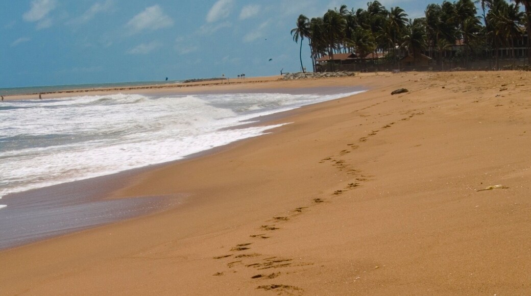 Glorious beaches, beautiful people, Sri Lanka, try and visit there at least once in your lifetime !!!