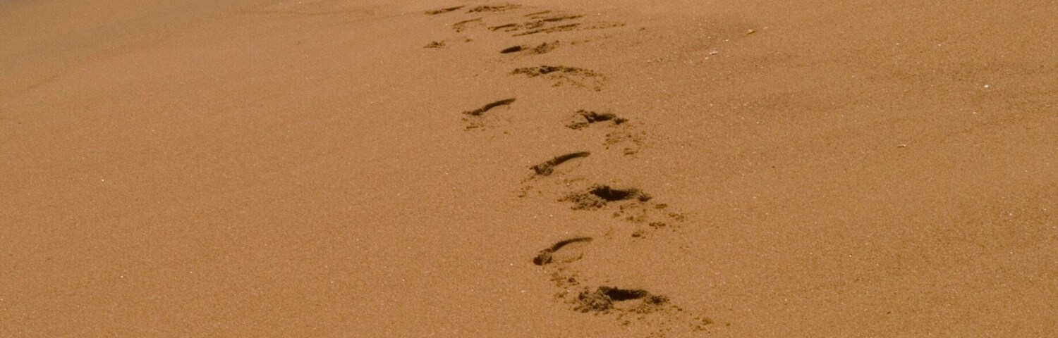 Uma praia de areia com pegadas que levam em direção ao oceano e palmeiras ao fundo.
