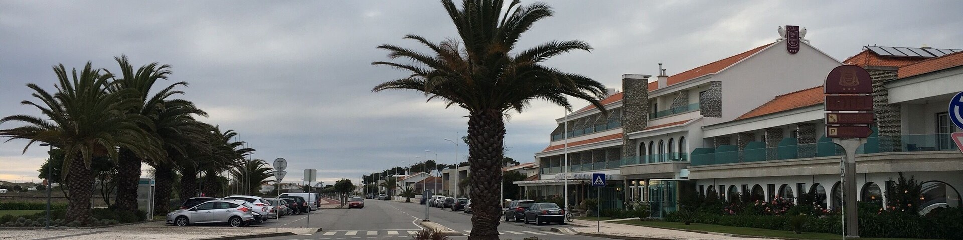 A roundabout with palm trees, parked cars, and buildings with a red roof.