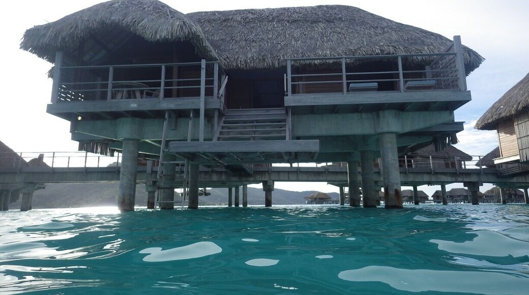 Four Seasons Bora Bora is VERY nice but if on a budget try http://www.hotelmaitai.com
for overwater bungalows