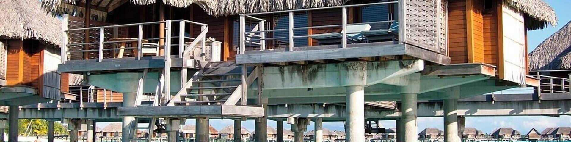 Typical bungalow at the Four Seasons. Over 1000 square feet of Polynesian luxury all to yourself. No compromises on quality here, and the service is impeccable.
Hop into the lagoon from your own private deck! Not much to see in the way of fish or coral, but great for swimming or just hanging out (the water by our bungalow was only waist deep).
My only nit is the $20/day they charge for WiFi in your room - feels like nickel-and-diming given the $1000/night room rate.