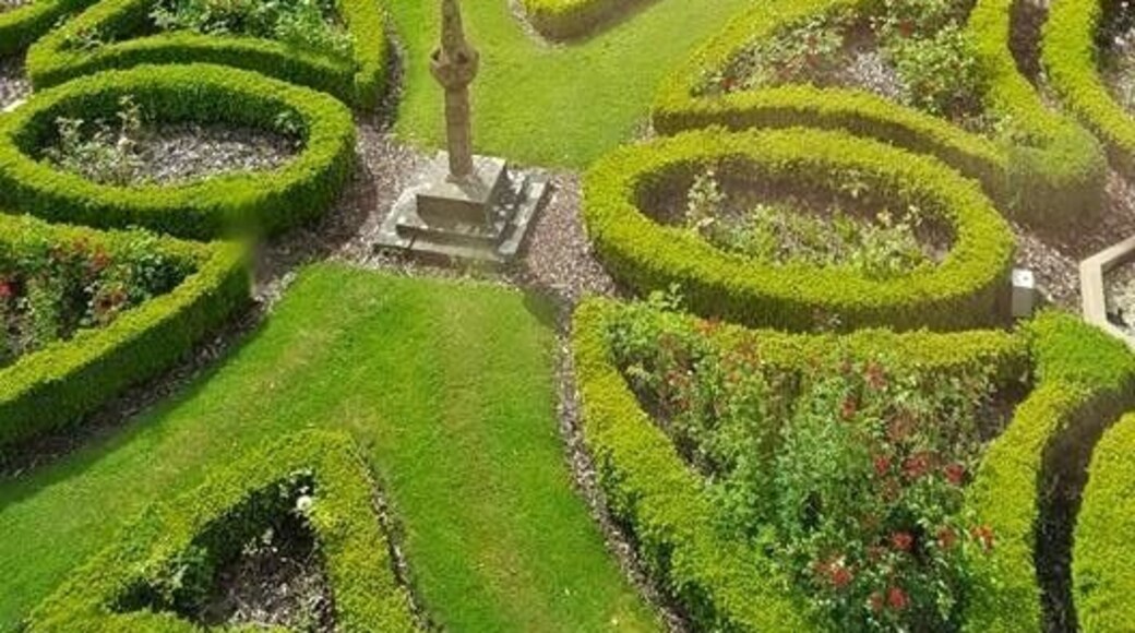 I just love this tree in the beautiful gardens of Carberry Tower, Musselburgh, Scotland 🏴 the tower itself dates back to 1480 and I just imagined the stories this wonderful tree could tell!!