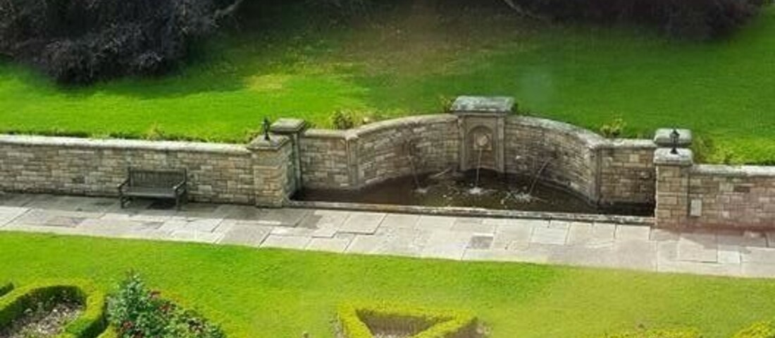 I just love this tree in the beautiful gardens of Carberry Tower, Musselburgh, Scotland 🏴 the tower itself dates back to 1480 and I just imagined the stories this wonderful tree could tell!!