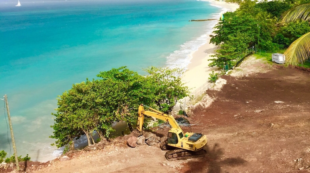 Grenada saying “see you soon” as he cried happy tears at my departure.