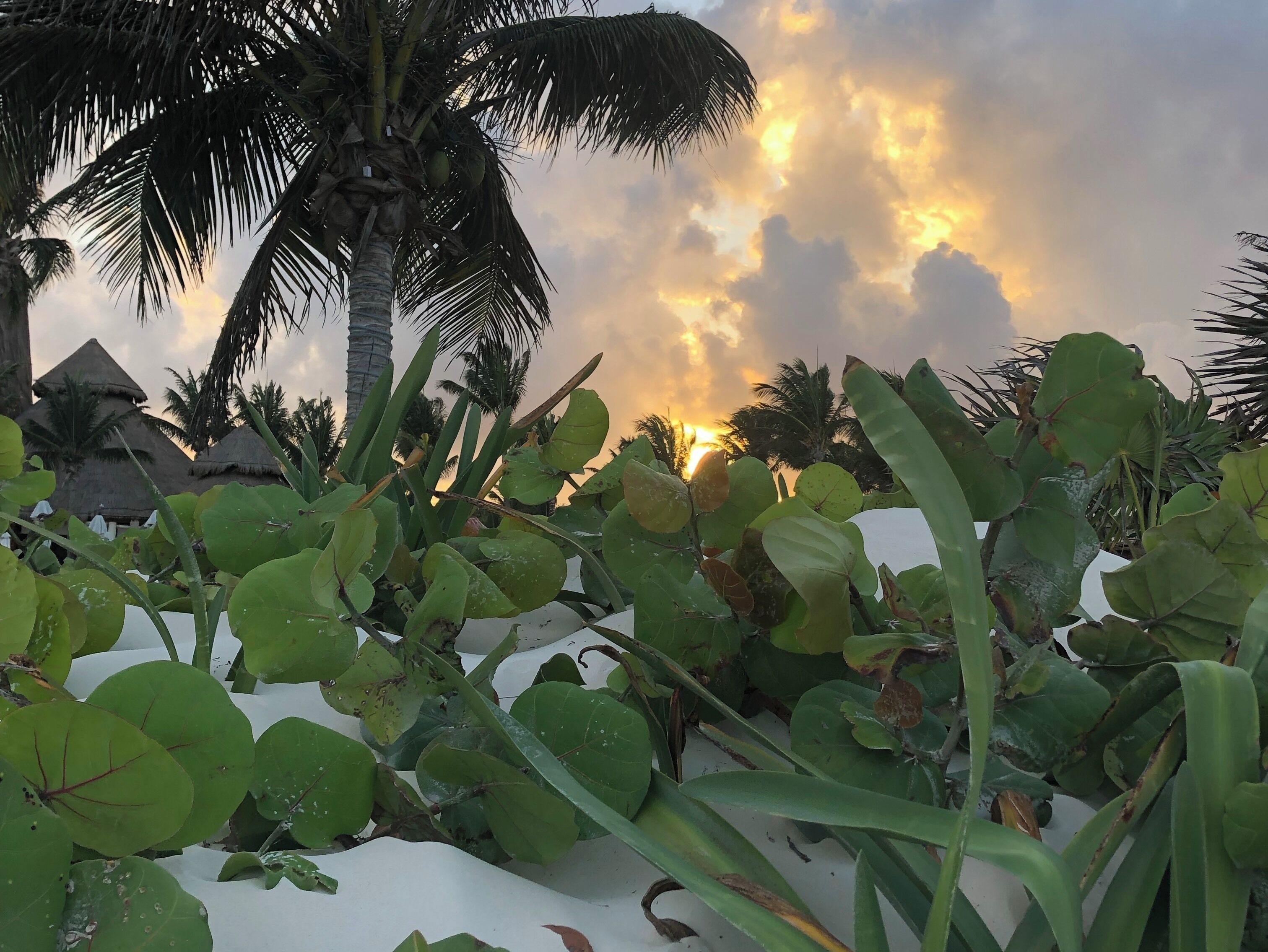 The sunset tells us that the day is almost over. It reminds us of the importance of time and how we should make good use of it. It’s also a time for reflection. As your day comes to a close, ask yourself whether you’ve done everything you set out to do or been the person you desire to be.