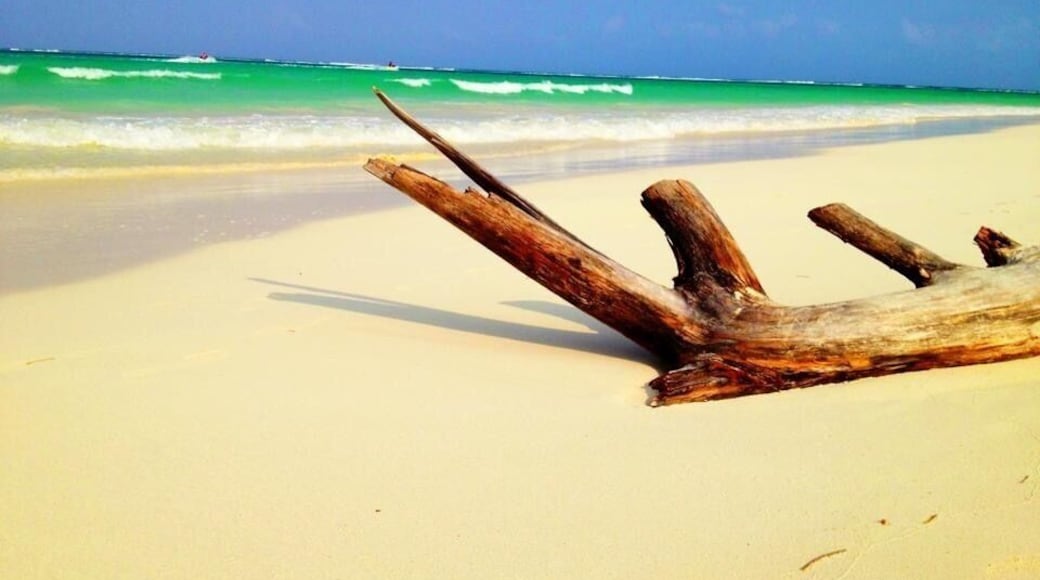 #beach. Great resort and awesome beach! #waterlust #endlesssummer #beachbound