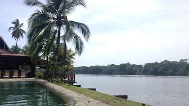 This lodge located on the Caribbean side of Costa Rica was incredible. Sloths, iguanas, and tons of monkeys!