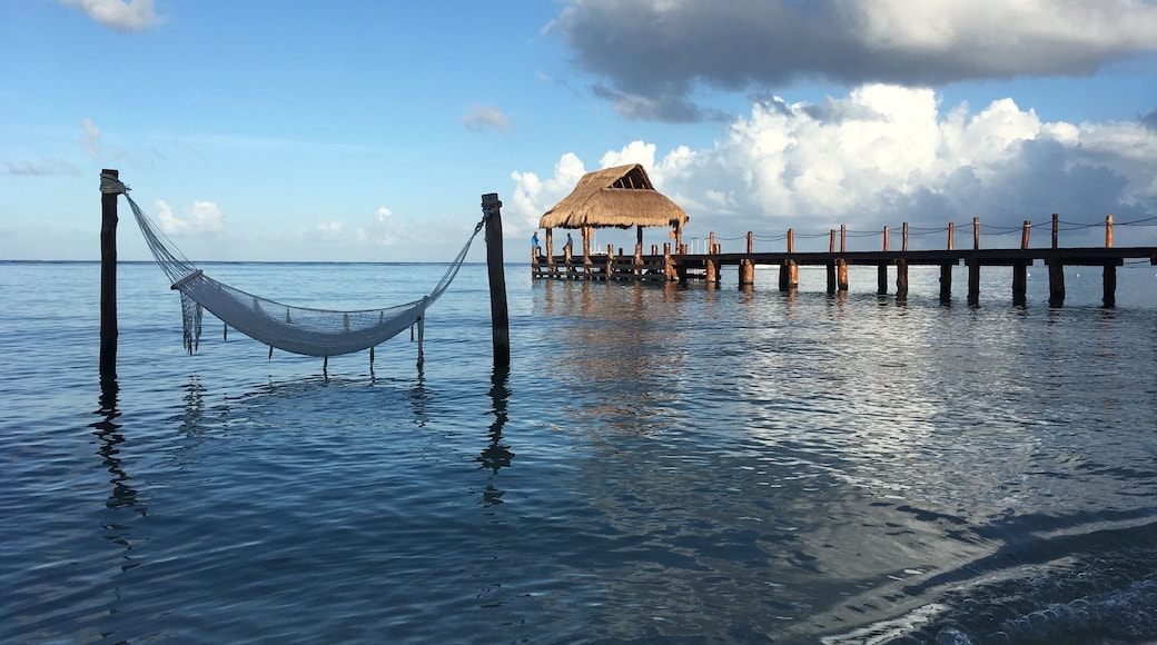 Buenos días #secretsresort #cozumel #mexico #beach #pier #salttherapy