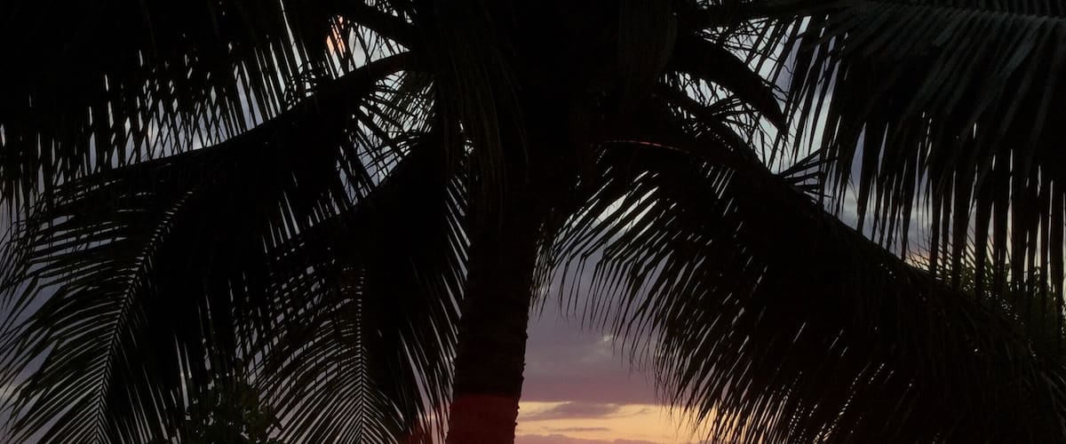 Amazing sunset right from the sunset cove at the Grand Palladium Lady Hamilton