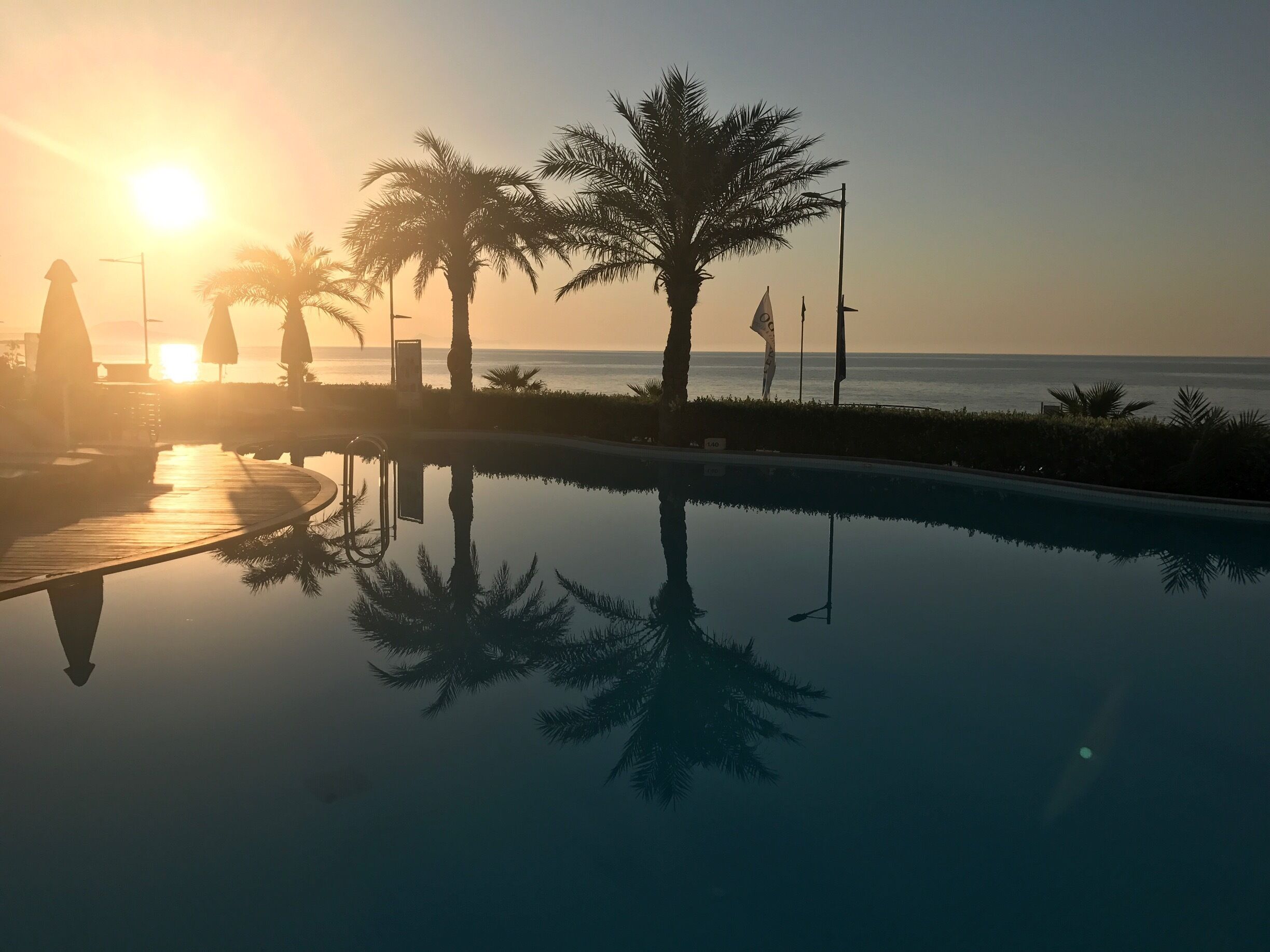 A serene poolside with palm trees and a sunset over the ocean.