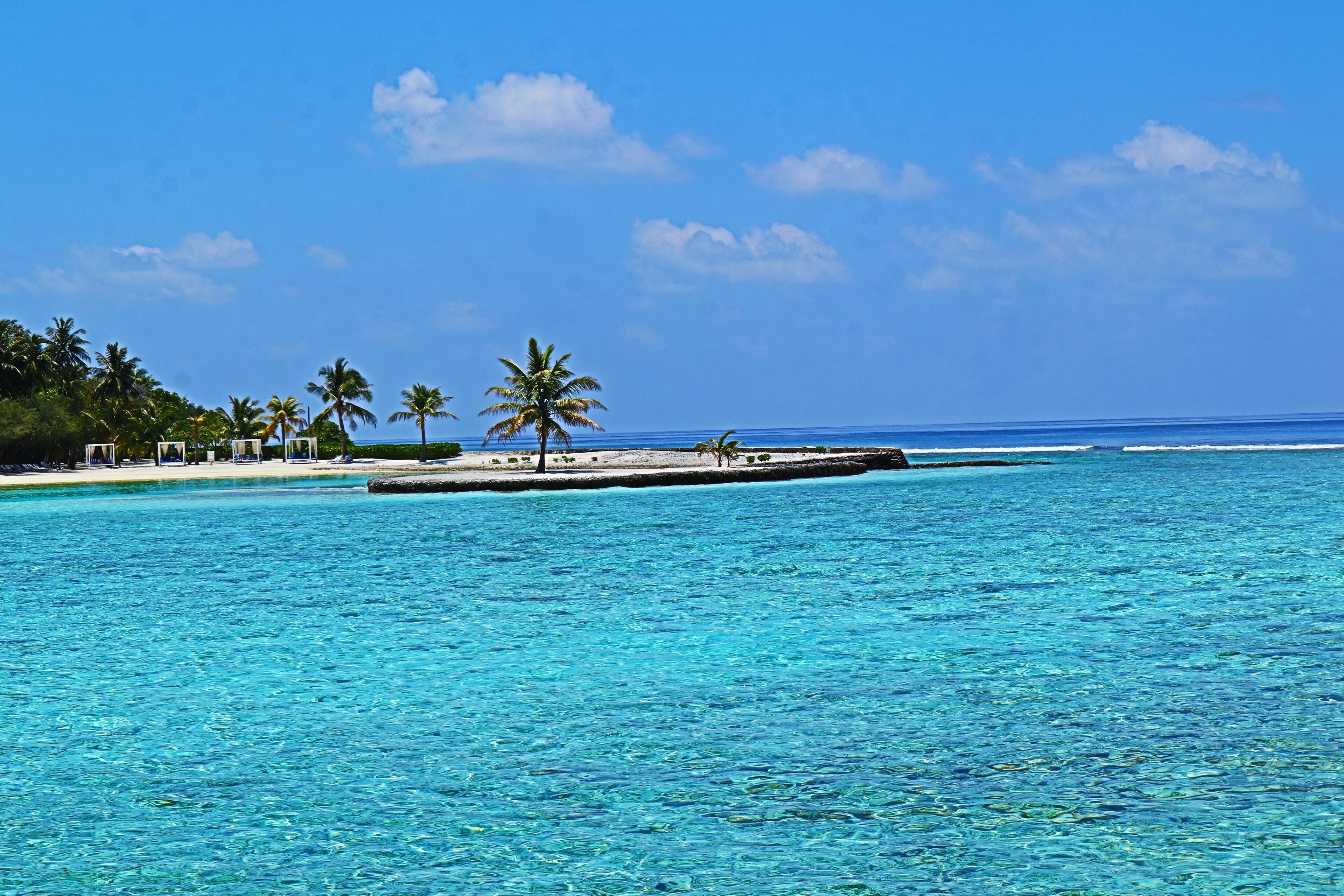 A clear blue sea, a small island with palm trees, and a sandy beach.