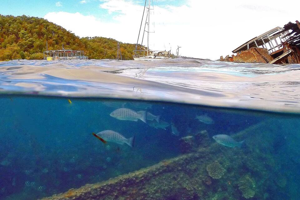 A beach with boats, a lighthouse, and underwater fish.