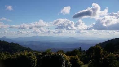 The view from some of the accommodation at O'Reilly's.