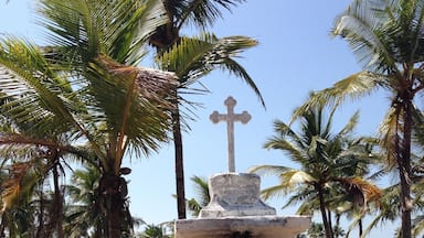 Woodland track to Majorda beach, South Goa, India January 2014