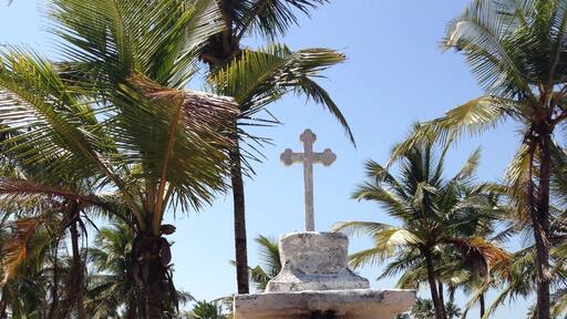 Woodland track to Majorda beach, South Goa, India January 2014