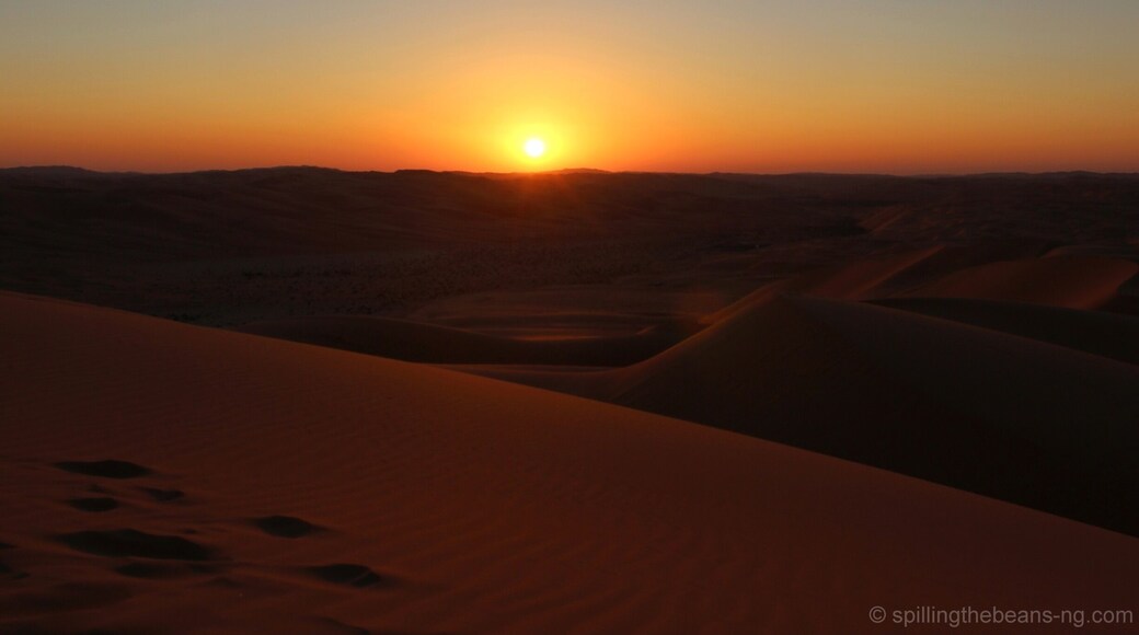 A special sunset in the Liwa Desert, on the northern edge of Rub Al’ Khali (The Empty Quarter), the world’s largest uninterrupted sand desert.
I climbed a high sand dune and was treated to an extraordinary sight. Seated on the cushion that was the soft fine sand, I looked out at the iridescent sand dunes that stretched out far and wide, and watched in awe as the bright beautiful sun finally disappeared into the horizon.
http://www.spillingthebeans-ng.com/explore-the-elements
#troveon #abudhabi #uae #goldenhour #hiking #bestof5