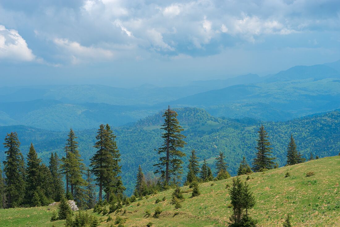 A mountainous landscape with evergreen trees and rolling hills under a partly cloudy sky.