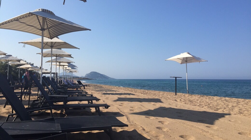 Early morning on the beach. Although it never got all that busy.