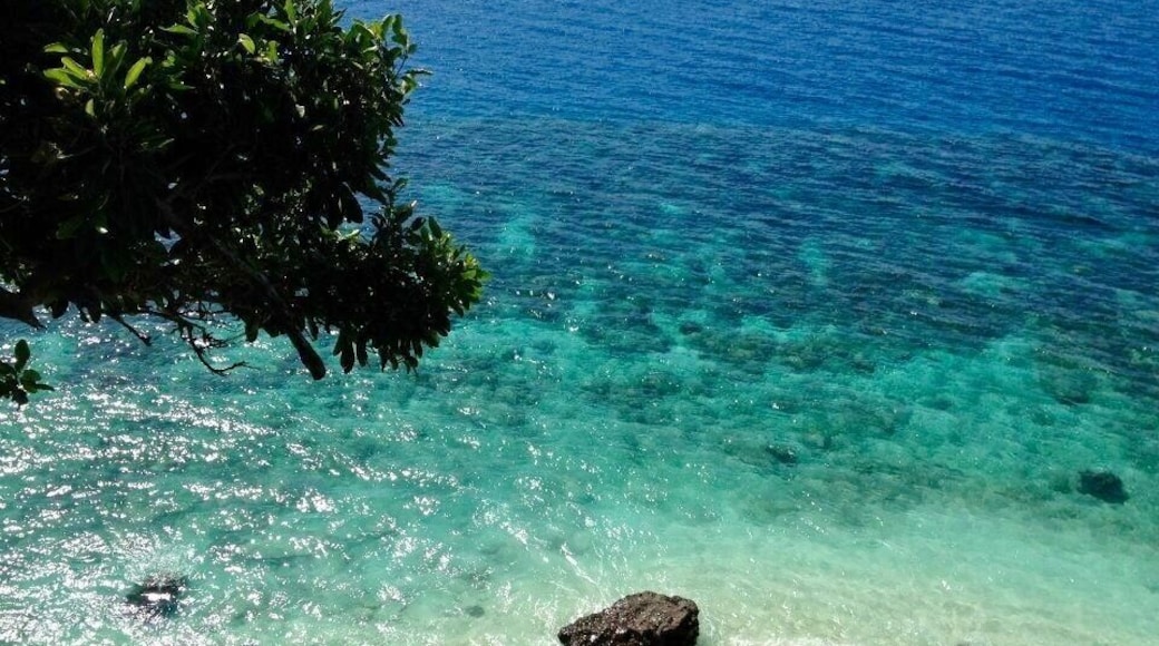 The view from the 'Tree Top Spa'🌴👌🏻
#BeachBound