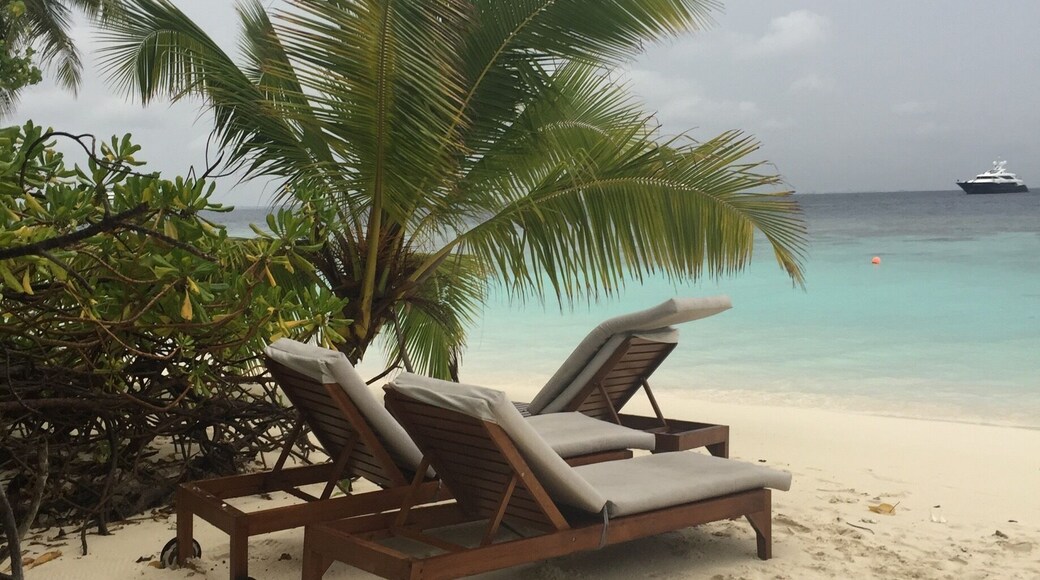 Le paradis sur terre 😊❤